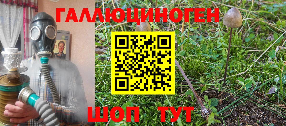 Псилоцибиновые грибы Psilocybine cubensis  Вход с VPN  Псилоцибиновые грибы Cubensis  Красногорск 