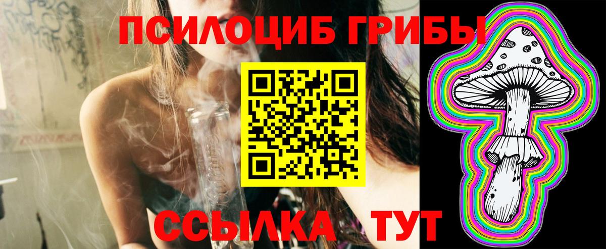 Галлюциногенные грибы GOLDEN TEACHER Красногорск